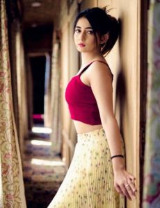 escort service in Bathinda